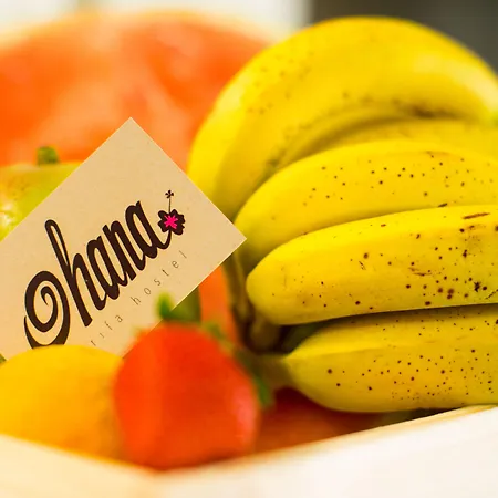 Ohana 타리파