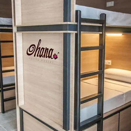 Ohana ホステル タリファ